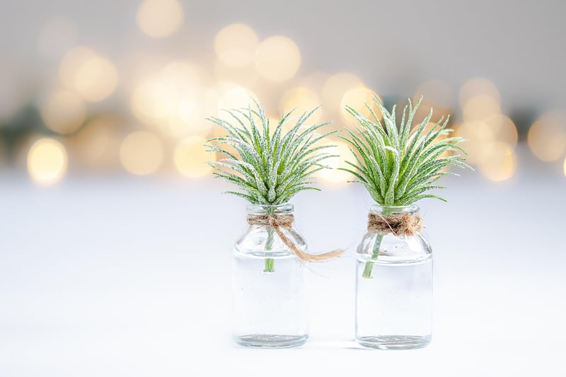 Glass Jar Lanterns